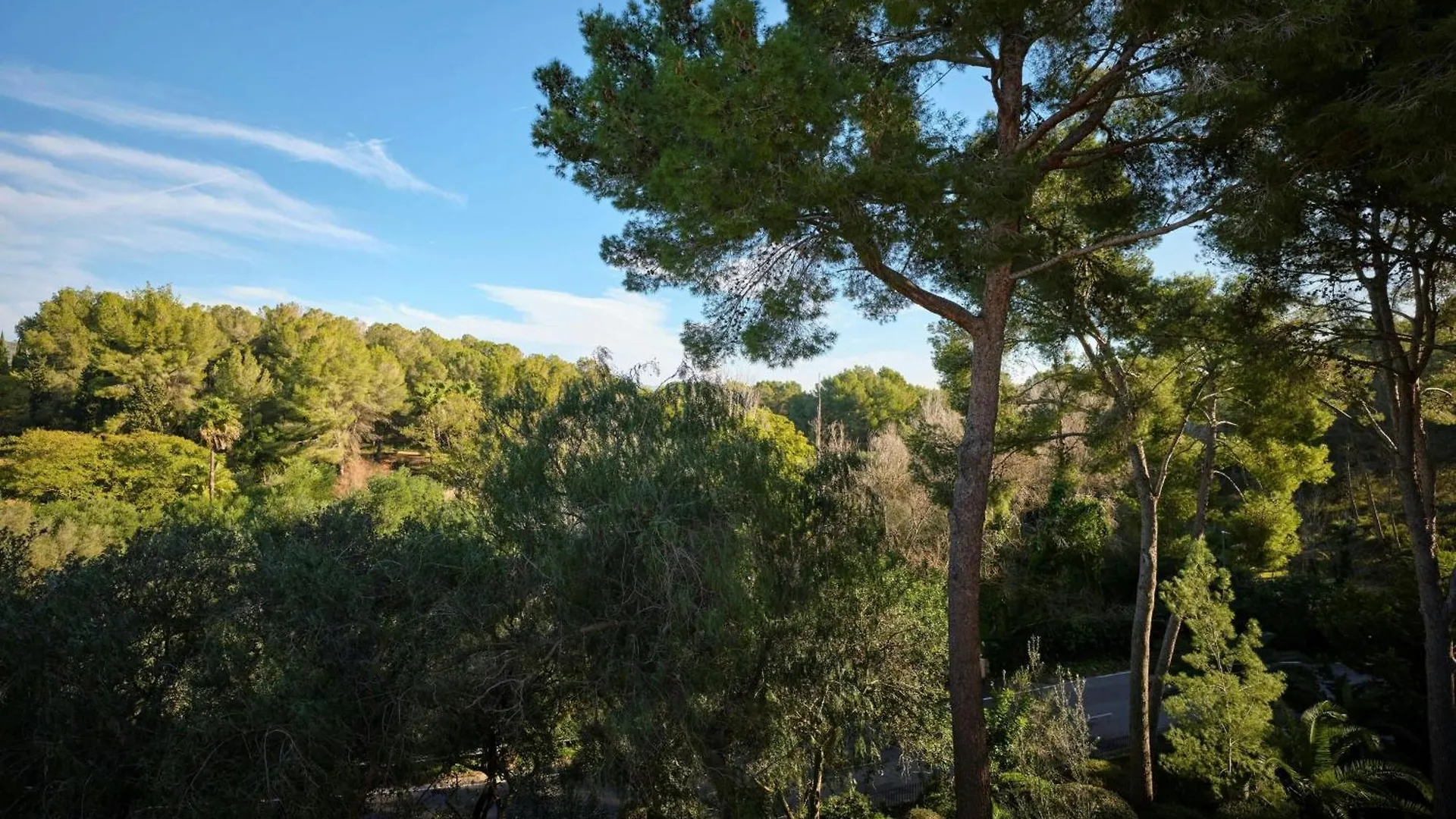 Sheraton Mallorca Arabella Golf Hotel Palma di Maiorca